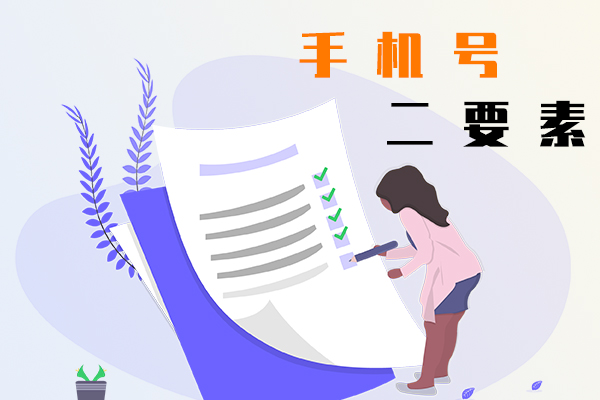 手机号二要素