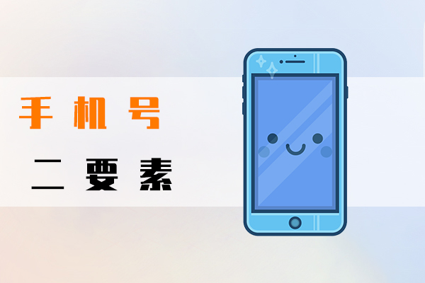手机号二要素