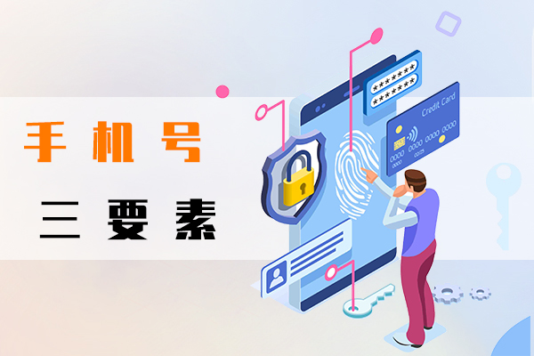 手机号三要素