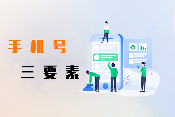手机号三要素