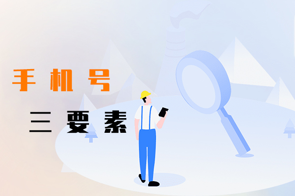 手机号三要素