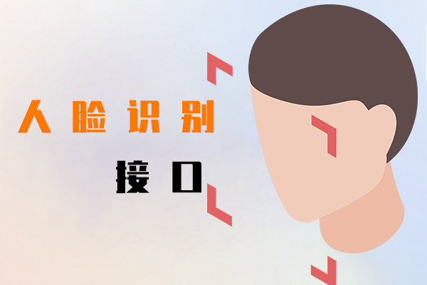 人脸识别接口