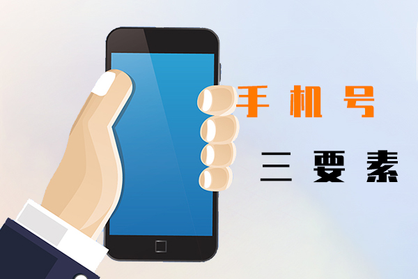 手机号三要素